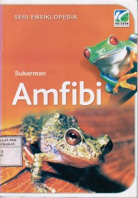Amfibi