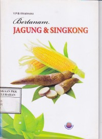 Bertanam Jagung & Singkong