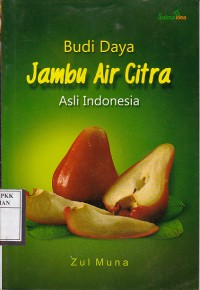 Budi daya jambu air citra asli Indonesia