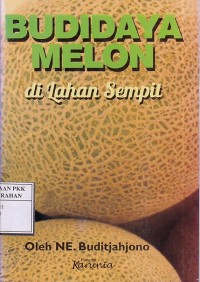 Budi daya melon di lahan sempit