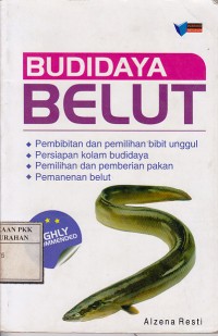 BUDIDAYA BELUT