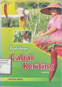 Budidaya Cabai Keriting