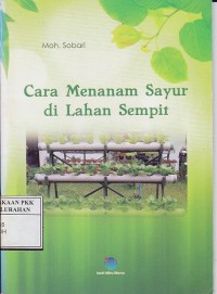 Cara menanam sayur di lahan sempit