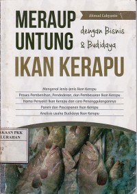 Meraup Untung dengan Bisnis & Budidaya Ikan Kerapu