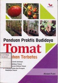 Panduan Praktis Budidaya Tomat di Lahan Terbatas